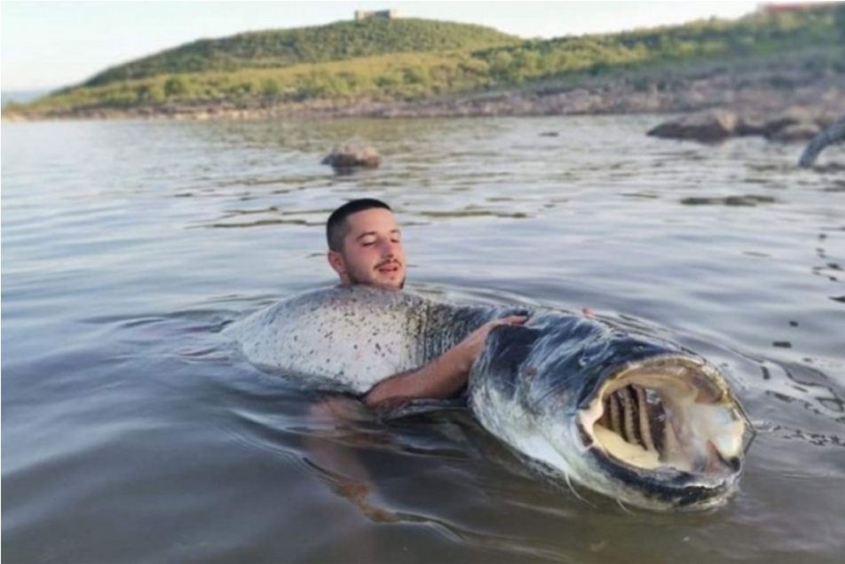 Maрко у Билећком језеру уловио сома од 60 килограма: Борба трајала 90 минута