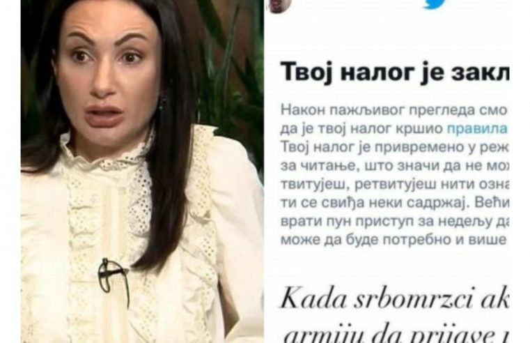 Твитер привремено суспендовао налог Горице Додик